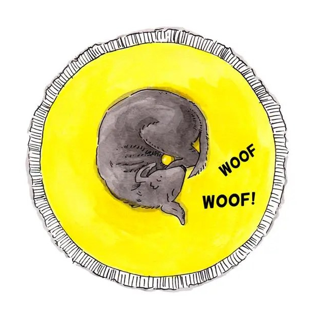 Book Dummy Mde Woof Woof Black Labrador ink drawing_ Melanie Franz