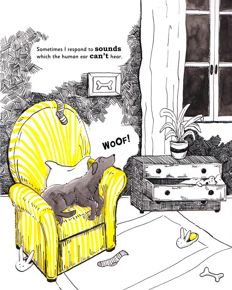 Book Dummy Madame Woof Woof black Labrador ink illustration_Melanie Franz