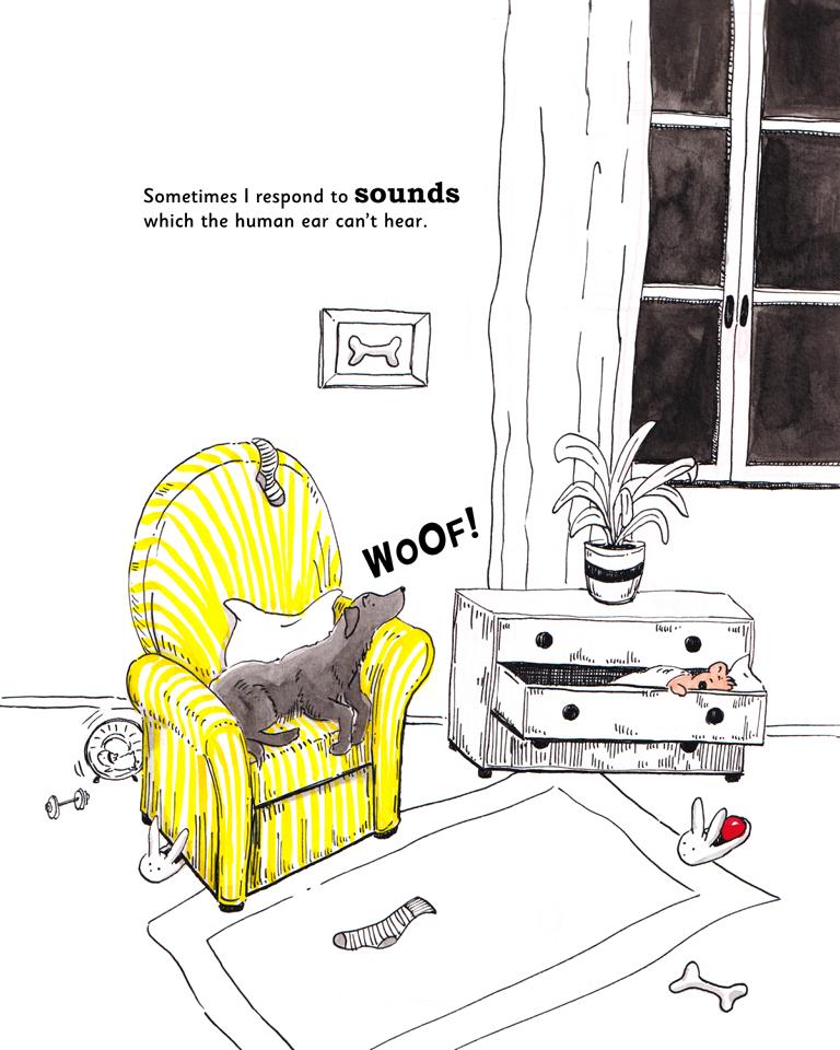 Book Dummy Mde Woof Woof Labrador ink drawning_Melanie Franz