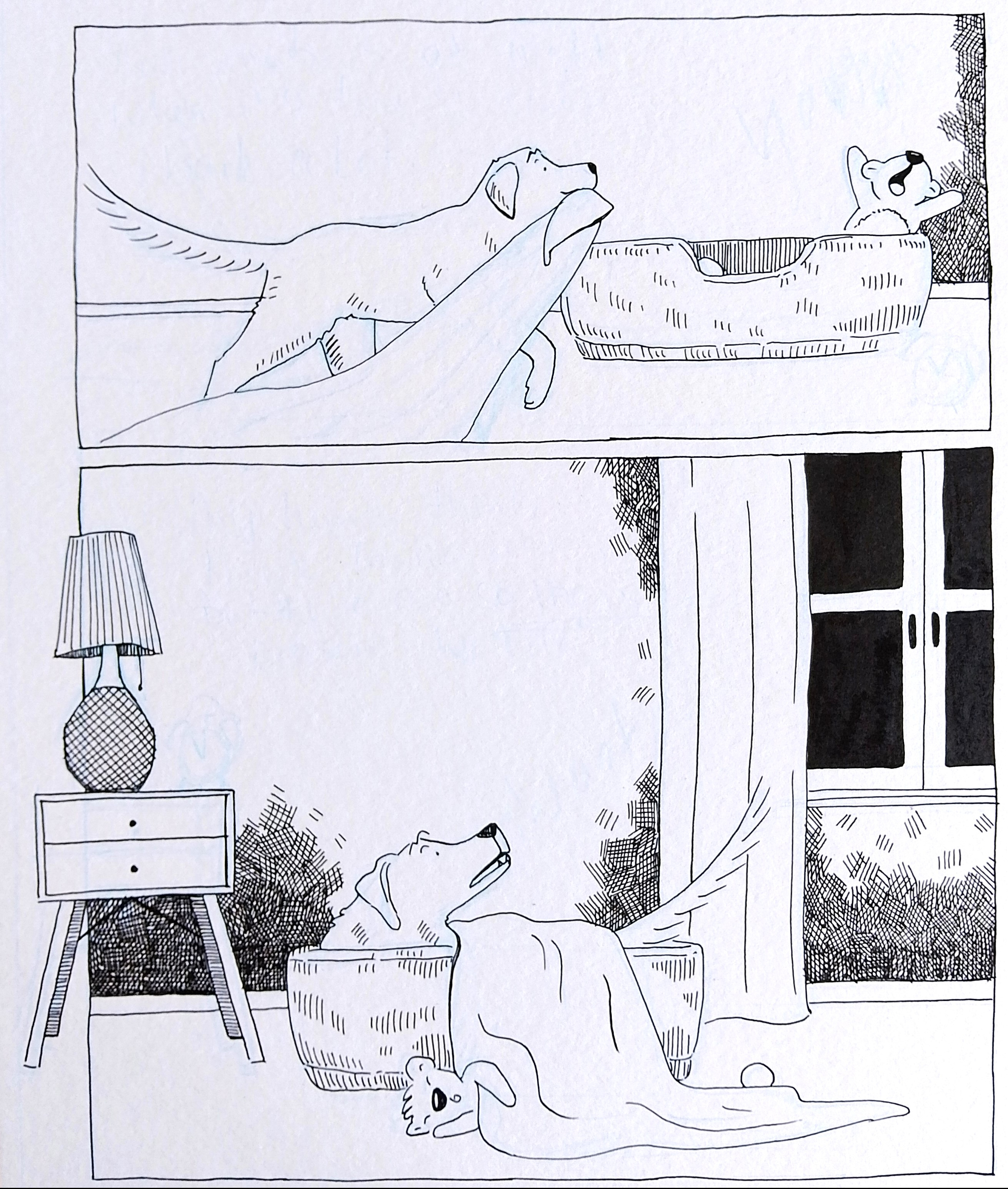 Madame Woof Woof_ink drawing dog Labrador illustration process _ Melanie Franz
