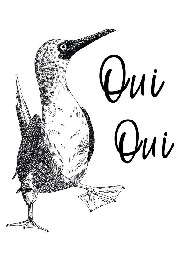 A4 Black and white poster Blue footed booby ink drawing Oui Oui_ Melanie Franz