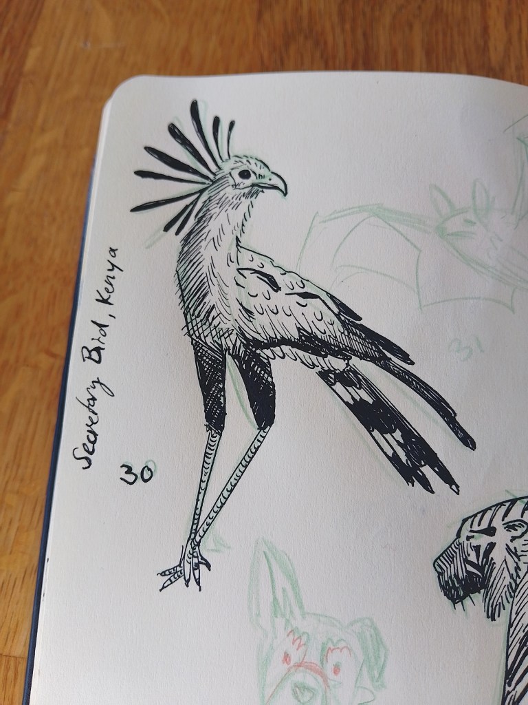 ink animal drawings _Melanie Franz 2025