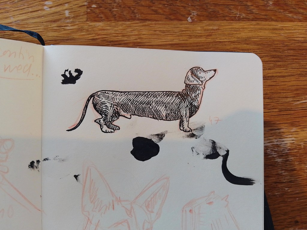 ink animal drawings _Melanie Franz 2025