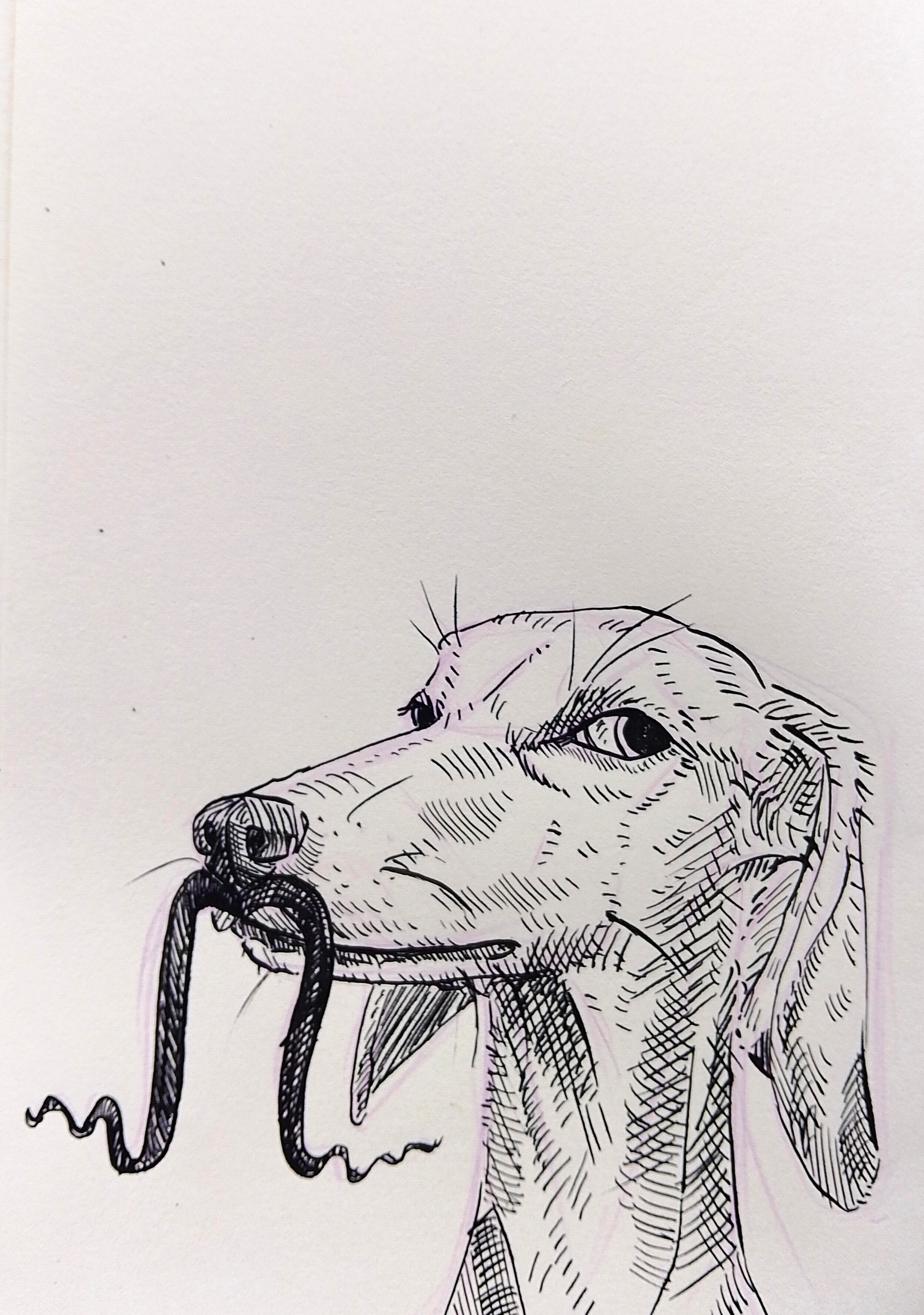 Inktober 2025 Melanie Franz