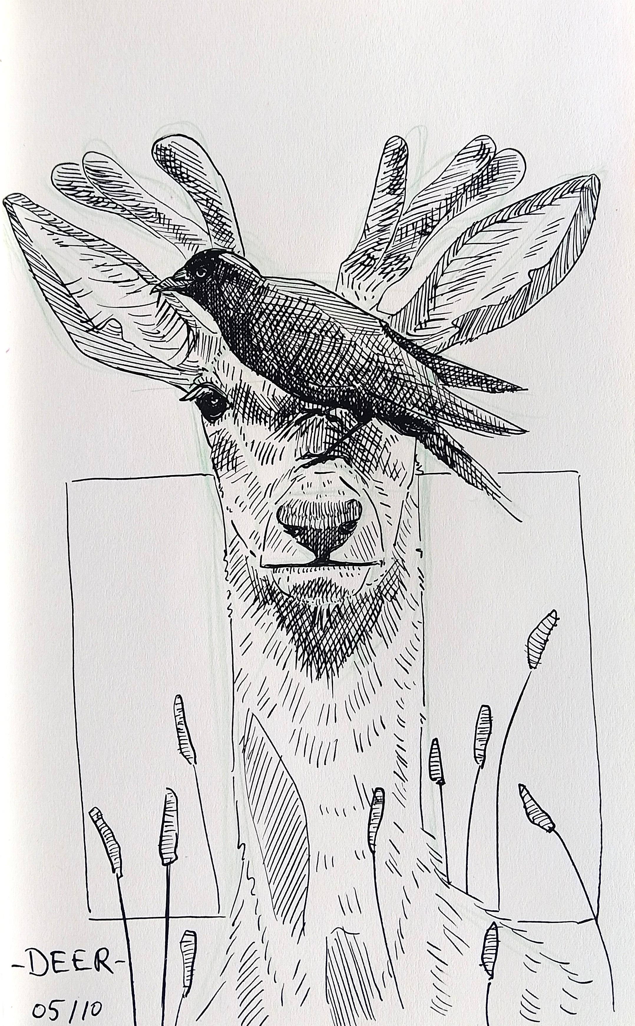 Inktober 2025 Melanie Franz