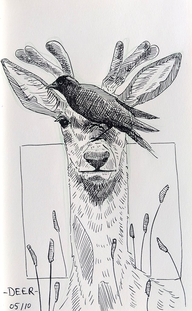 Inktober 2025 Melanie Franz