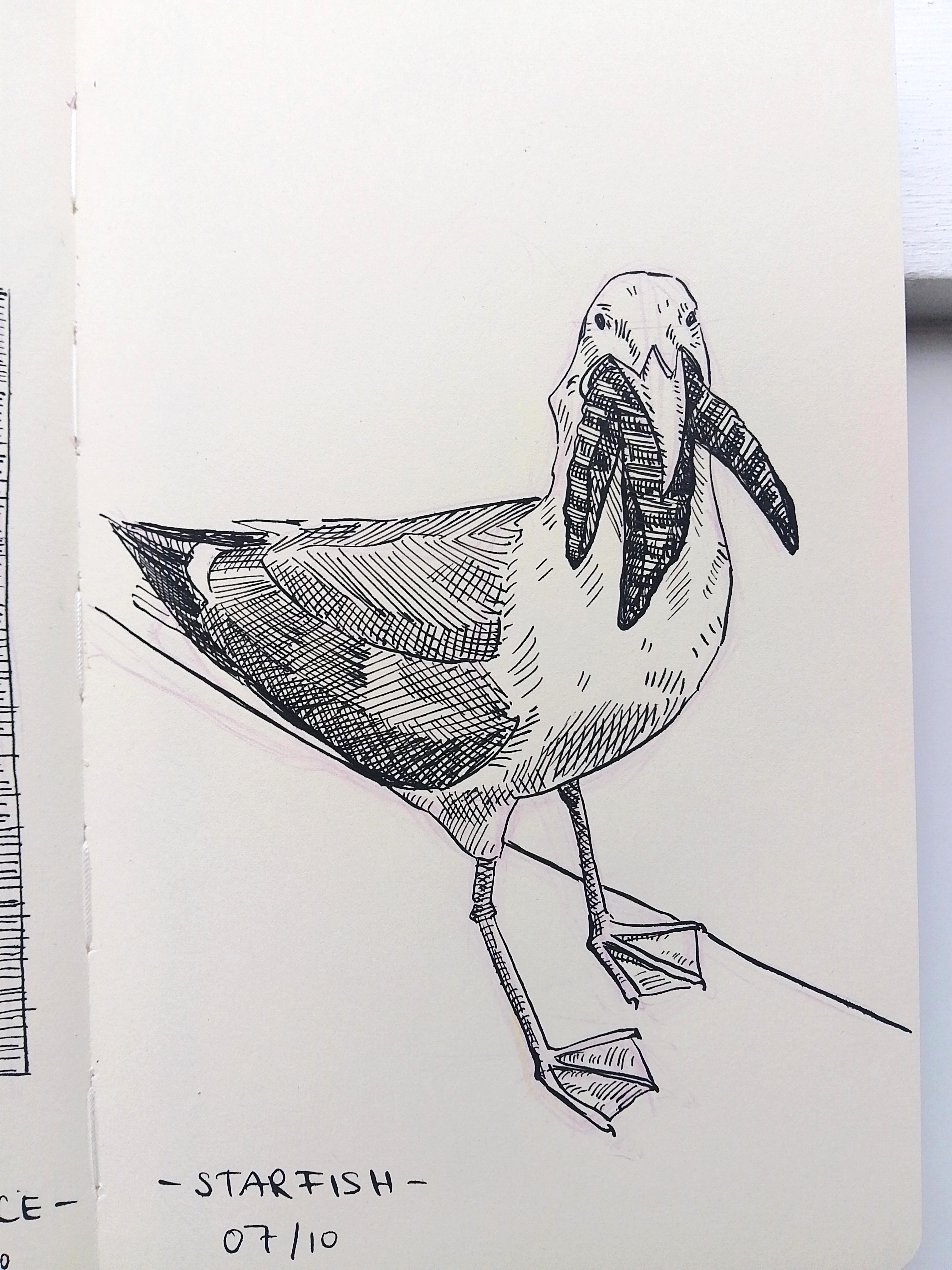 Inktober 2025 Melanie Franz