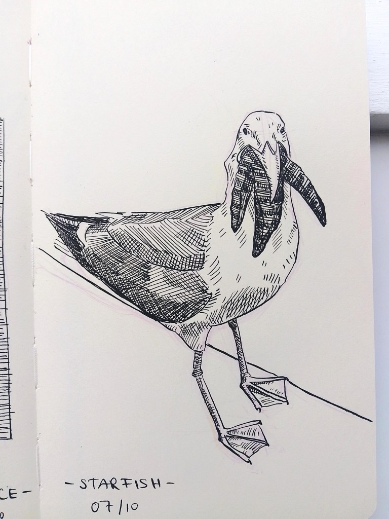 Inktober 2025 Melanie Franz