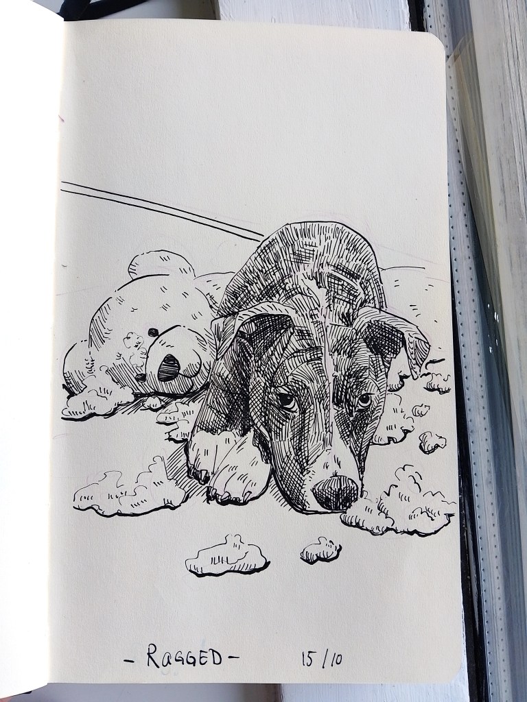 Ragged dog teddy _ Inktober 2025 _ Melanie Franz