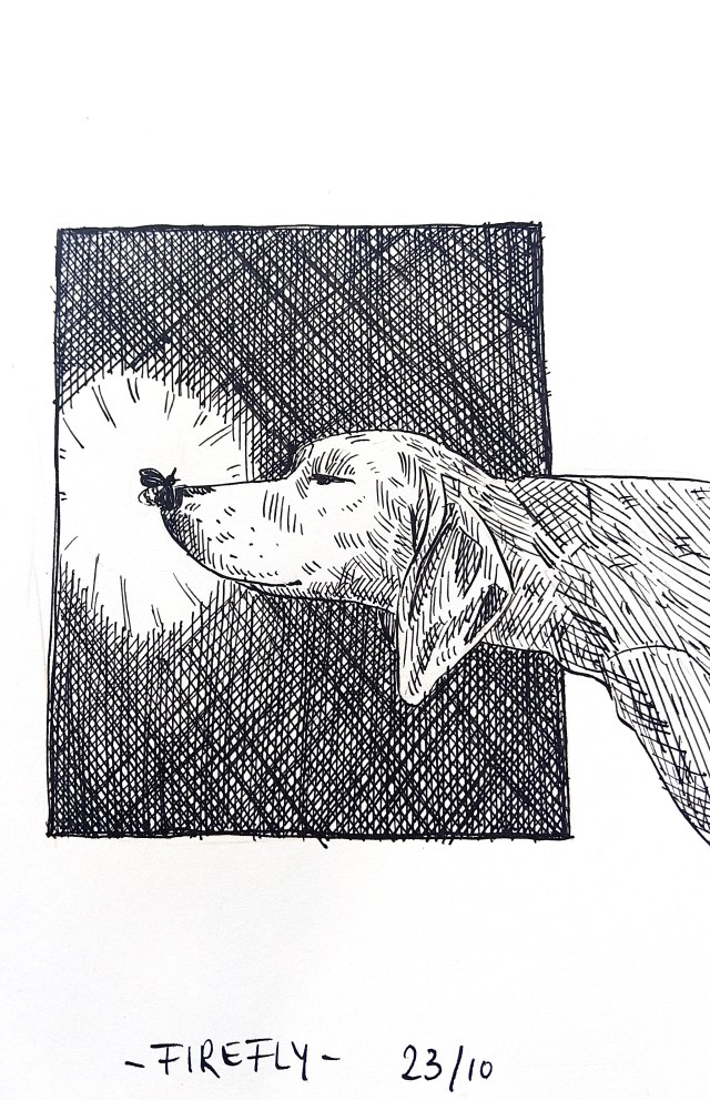 Inktober 2025 Melanie Franz