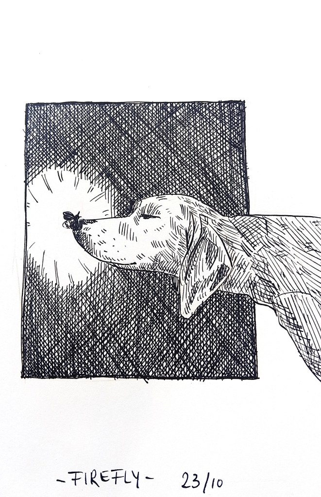 Inktober 2025 Melanie Franz