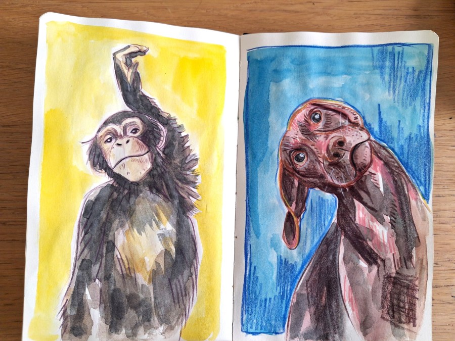 Chimpanzee Dog Watercolour Caran d'ache Melanie Franz