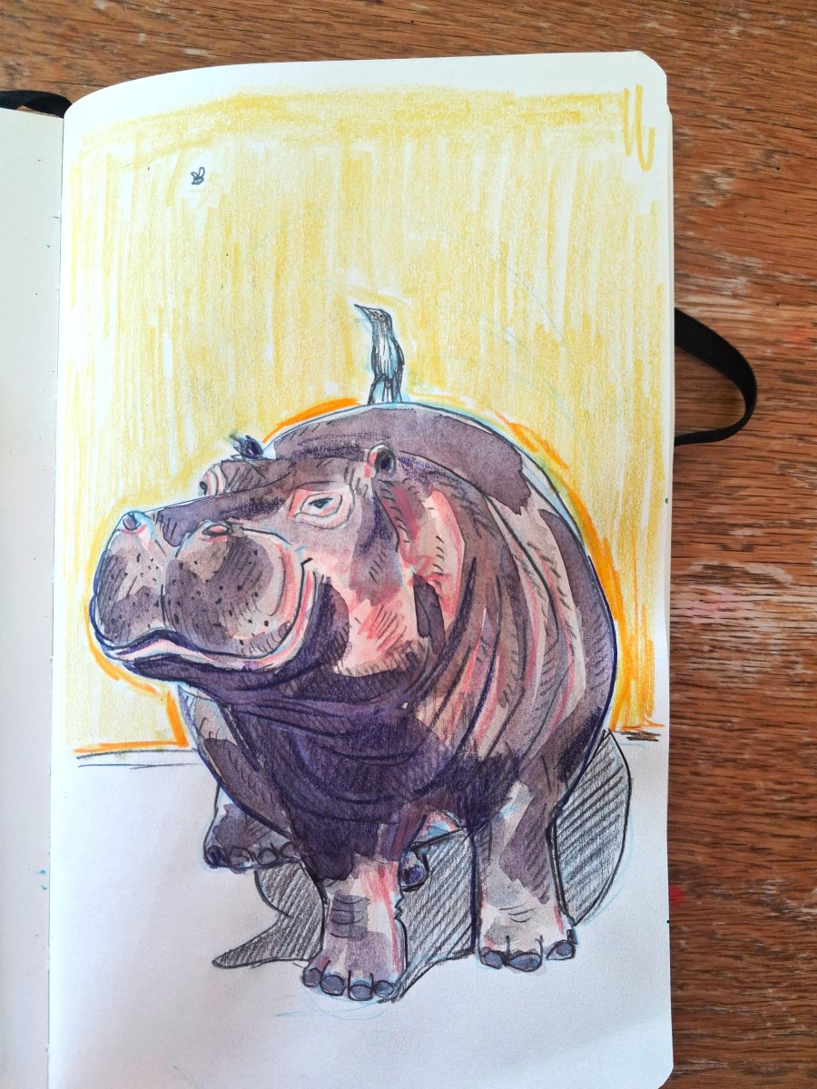 Hippo watercolour Melanie Franz