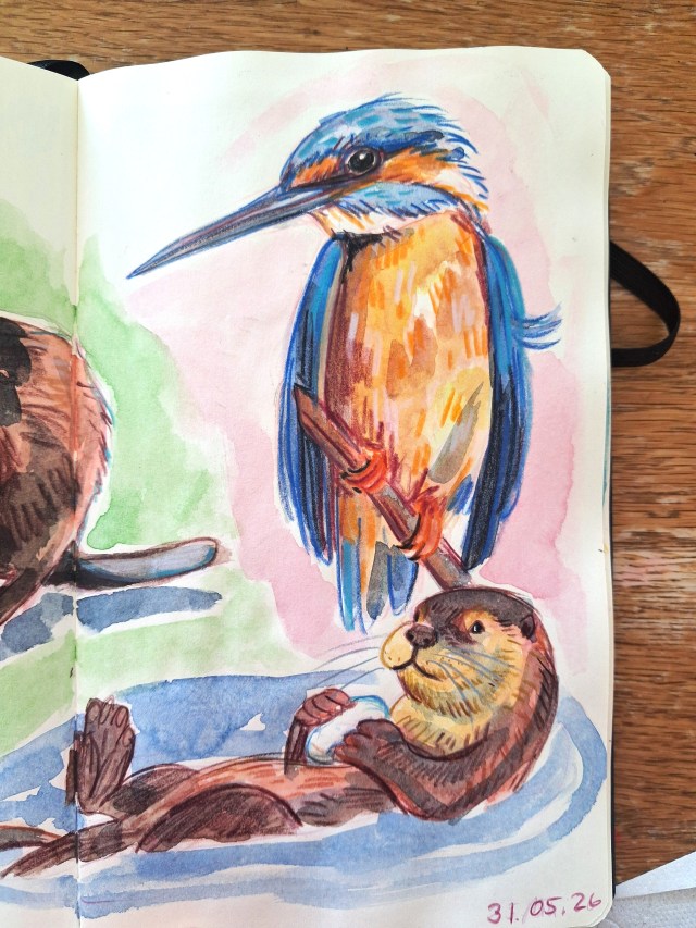 colibri otter watercolour Melanie Franz