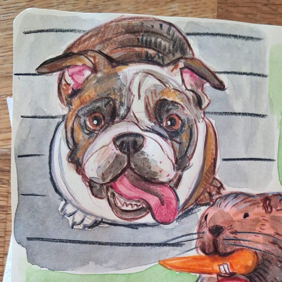 Watercolour dog beaver Melanie Franz