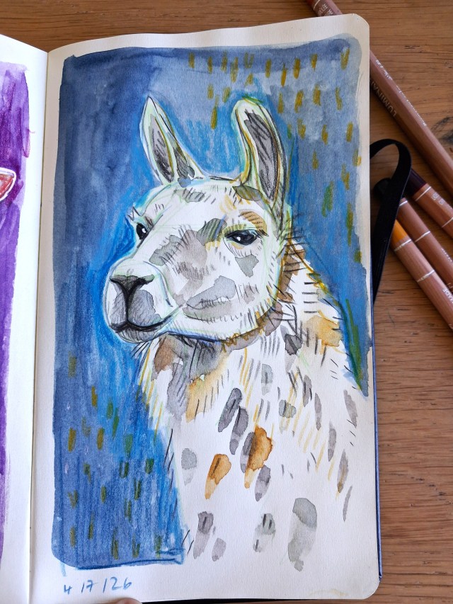 Lama watercolour Melanie Franz