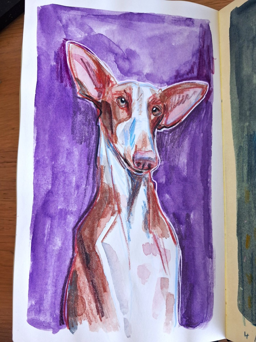 dog watercolour illustration Melanie Franz